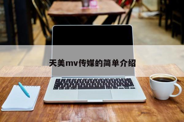 天美mv传媒的简单介绍