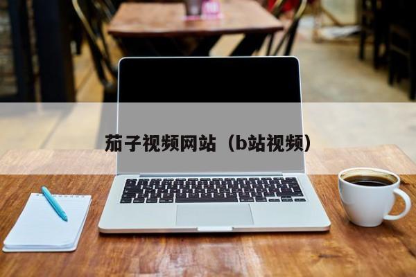 茄子视频网站(b站视频)