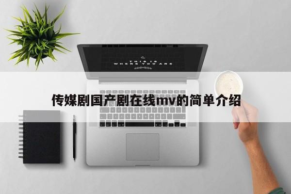 传媒剧国产剧在线mv的简单介绍